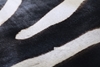 Picture of ZEBRA Mat/Carpet (Genuine Cowhide)