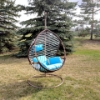 Picture of #51 Hanging Chair