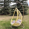Picture of #67 Hanging Chair