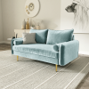 Picture of MARYJANET Velvet Sofa Range (Light Grayish Cyan) - Loveseat + Sofa Set