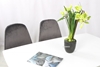 Picture of OSLO 5PC Dining Set (Grey Velvet)