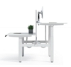 Picture of UP1 BACK-TO-BACK DUAL Adjustable Desk System