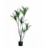 Picture of Faux Dracaena Plant 170cm