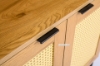 Picture of SAILOR 2 Door Bookshelf with Rattan (Oak)