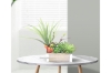 Picture of ARTIFICIAL PLANT 294 with Wooden Look Vase (20cm x 35cm)