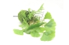 Picture of ARTIFICIAL PLANT 292 WITH MOSS VASE (20CM X 28CM)