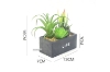 Picture of ARTIFICIAL PLANT 289 with Vase (13cm x 16cm)