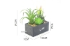 Picture of ARTIFICIAL PLANT 289 WITH VASE (13CM X 16CM)