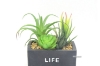 Picture of ARTIFICIAL PLANT 289 WITH VASE (13CM X 16CM)