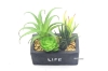 Picture of ARTIFICIAL PLANT 289 WITH VASE (13CM X 16CM)