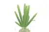 Picture of ARTIFICIAL PLANT 288 WITH VASE (6.5CM X 20CM)