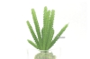 Picture of ARTIFICIAL PLANT 288 with Vase (6.5cm x 20cm)