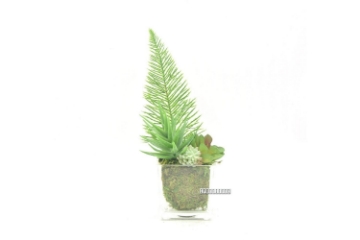 Picture of ARTIFICIAL PLANT 287 WITH VASE (6.5CM X 20CM)