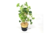 Picture of ARTIFICIAL PLANT 286 with Vase (31cm x 50cm)