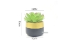 Picture of ARTIFICIAL PLANT 285 with Vase (12cm x 19cm)