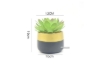 Picture of ARTIFICIAL PLANT 285 with Vase (4.5"x7.5")