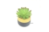 Picture of ARTIFICIAL PLANT 285 with Vase (4.5"x7.5")