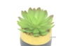 Picture of ARTIFICIAL PLANT 285 with Vase (4.5"x7.5")