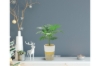 Picture of ARTIFICIAL PLANT 284 with Vase (13.5" x 17.5")