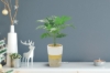 Picture of ARTIFICIAL PLANT 284 with Vase (13.5" x 17.5")