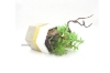 Picture of ARTIFICIAL PLANT 283 WITH VASE (18CM X 24CM)