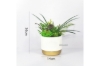 Picture of ARTIFICIAL PLANT 280 with Vase (5.5" x 14")