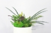 Picture of ARTIFICIAL PLANT 280 with Vase (5.5" x 14")