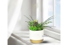 Picture of ARTIFICIAL PLANT 280 WITH VASE (14CM X 36CM)