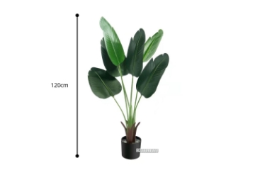 Picture of ARTIFICIAL PLANT 120/180cm Banana Leaf (Black Plastic Pot) - 120 cm
