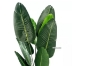 Picture of ARTIFICIAL PLANT 47"/71" Banana Leaf with Black Plastic Pot