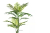 Picture of ARTIFICIAL PLANT 266-297 Palm - 195cm