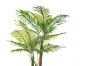 Picture of ARTIFICIAL PLANT 266-297 Palm - 195cm