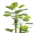 Picture of ARTIFICIAL PLANT Monstera Deliciosa 67"