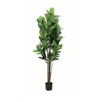 Picture of Artificial plant 266-329 rubber tree 160CM