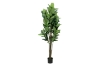 Picture of ARTIFICIAL PLANT 266-329 Rubber Tree 160cm