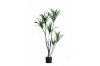 Picture of Faux Dracaena Plant 170cm