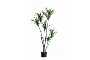 Picture of Faux Dracaena Plant 170cm