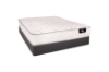 Picture of SERTA Limited Edition Firm Top Firm Mattress in Double / Queen/Eastern King---Queen