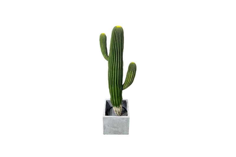 Picture of ARTIFICAL Saguar Cactus (H37.5")