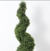 Picture of ARTIFICIAL PLANT 47" Bayberry Snake Shaped Tree with Plastic Pot