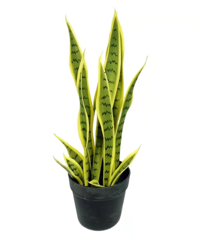 Picture of Artificial Plant Dracaena Trifasciata(266--275)--45cm