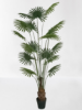 Picture of Artificial Plant Fan Palm 210cm
