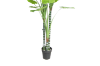 Picture of ARTIFICIAL PLANT Taro Tree