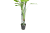 Picture of ARTIFICIAL PLANT TARO TREE