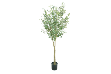Picture of ARTIFICIAL PLANT OLIVE TREE (H180CM)