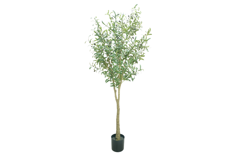 Picture of ARTIFICIAL PLANT Olive Tree (H180cm)