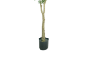 Picture of ARTIFICIAL PLANT OLIVE TREE (H180CM)
