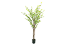 Picture of ARTIFICIAL PLANT Watercress Tree (H180)