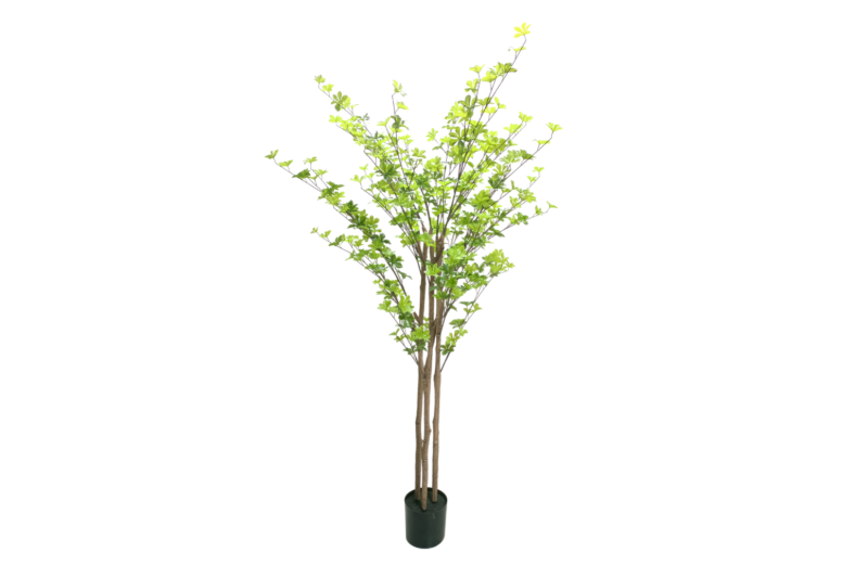 Picture of ARTIFICIAL PLANT Watercress Tree (H71")