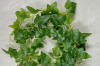 Picture of ARTIFICIAL PLANT Sweet Potato Vines 01 (2m Long)